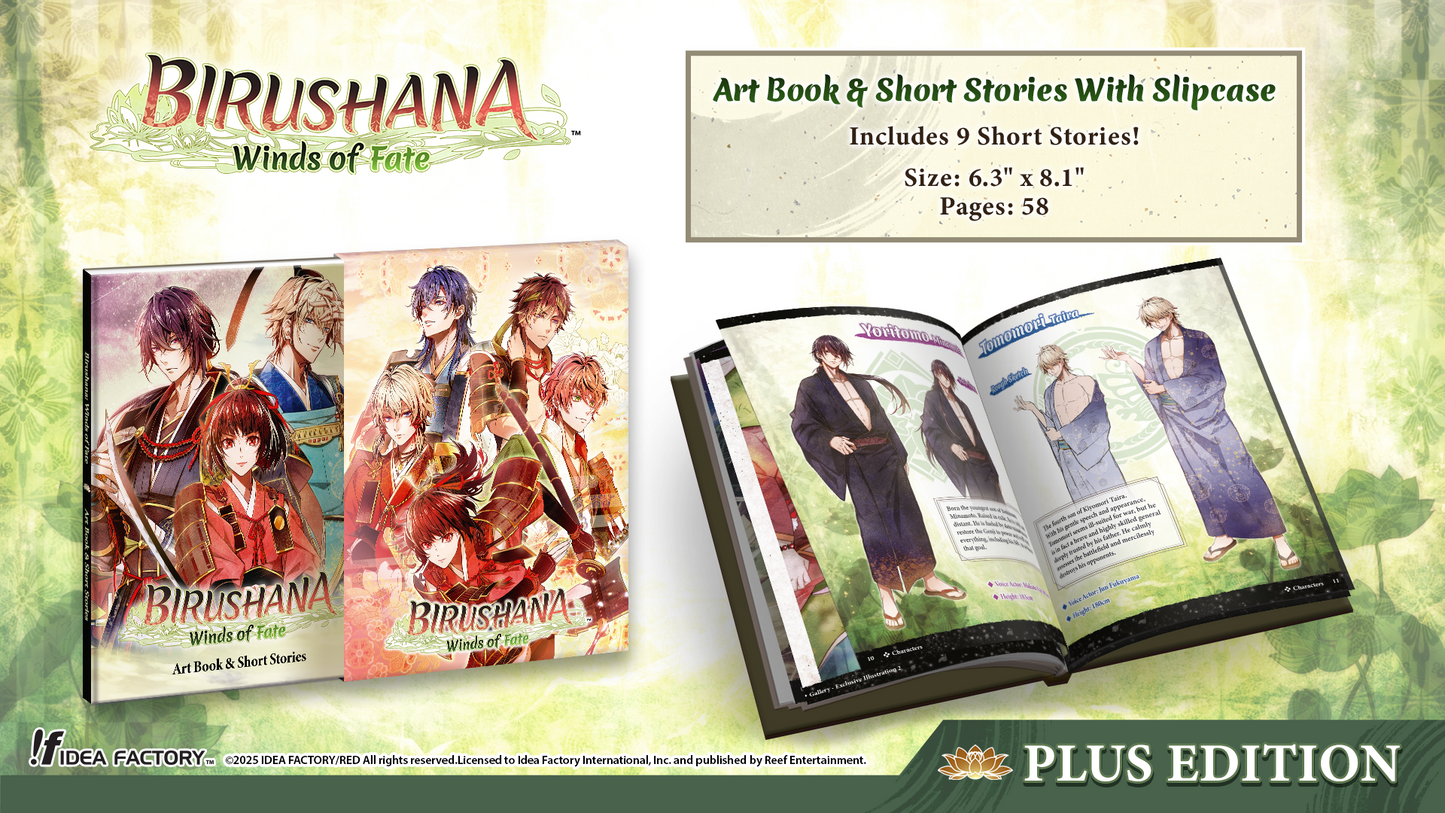 Birushana: Winds of Fate - Plus Edition - Nintendo Switch™