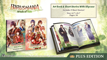 Birushana: Winds of Fate - Plus Edition - Nintendo Switch™