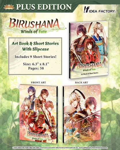 Birushana: Winds of Fate - Plus Edition - Nintendo Switch™