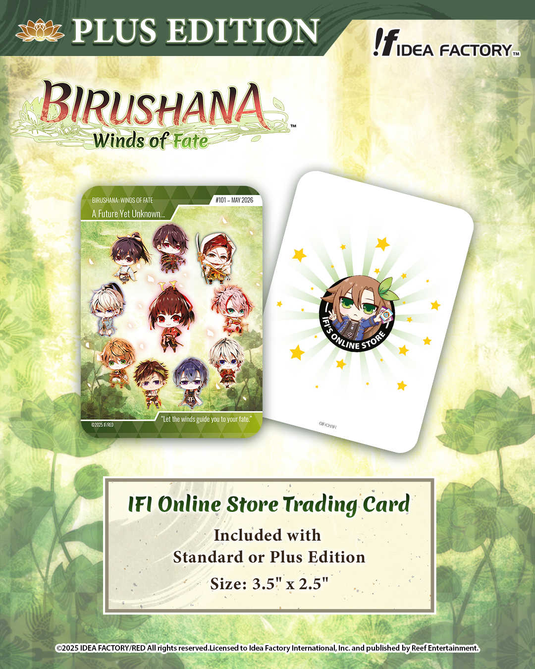 Birushana: Winds of Fate - Plus Edition - Nintendo Switch™