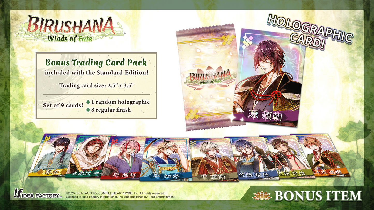 Birushana: Winds of Fate - Plus Edition - Nintendo Switch™