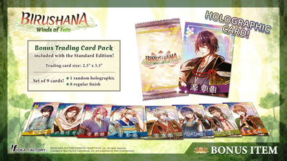 Birushana: Winds of Fate - Plus Edition - Nintendo Switch™