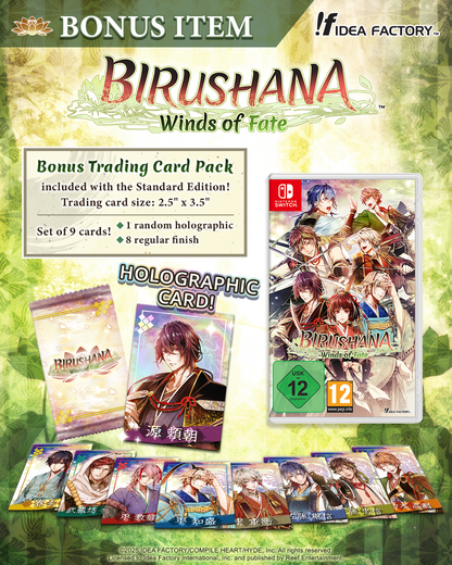 Birushana: Winds of Fate - Plus Edition - Nintendo Switch™